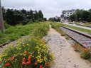 gstettn panoramaweg klein