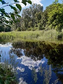 krebsenwasser klein