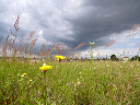 landschaft klein