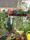 terrasse.jpg terrasse.jpg